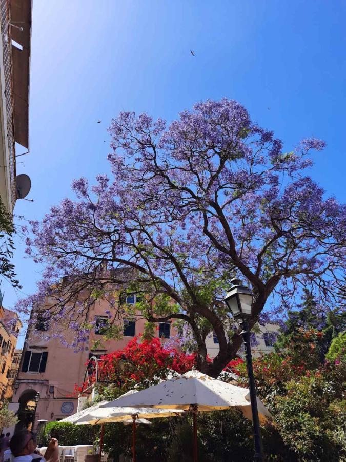 Jacaranda Corfu Old Town Apt Kültér fotó
